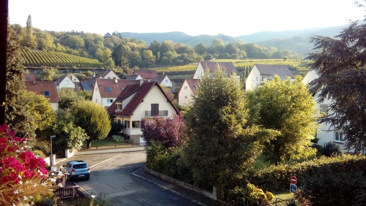 Marcia Donatti - A L'Ombre Des Coteaux Sao Paulo Otel Kaysersberg-Vignoble Dış mekan fotoğraf