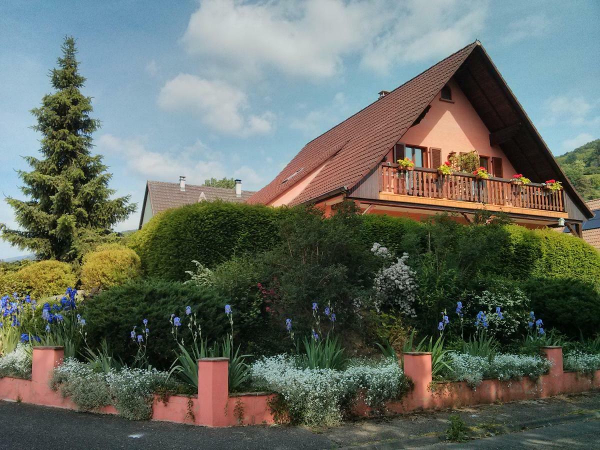 Marcia Donatti - A L'Ombre Des Coteaux Sao Paulo Otel Kaysersberg-Vignoble Dış mekan fotoğraf